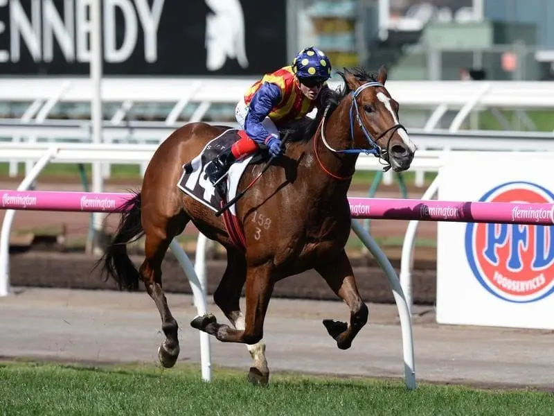 Theanswermyfriend's Flemington win has earned him a Group One start in the Rupert Clarke Stakes. Rupert Clarke