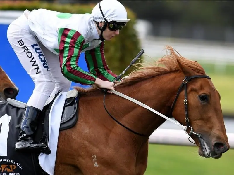 Blondie will try to back up her midweek Sandown win with a stakes victory at Moonee Valley. Blondie