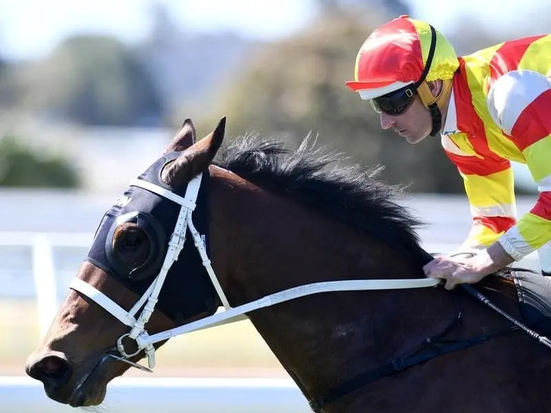 Blinkers have turned Aonair into a winner with the filly scoring at Warwick Farm under Hugh Bowman. (AAP Image/Paul Miller)