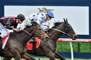 Oregon's Day Oregon's Day faces Doomben Cup challenge