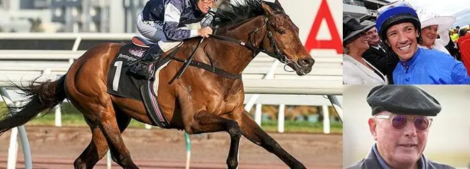 Almandin Melb Cup 2017