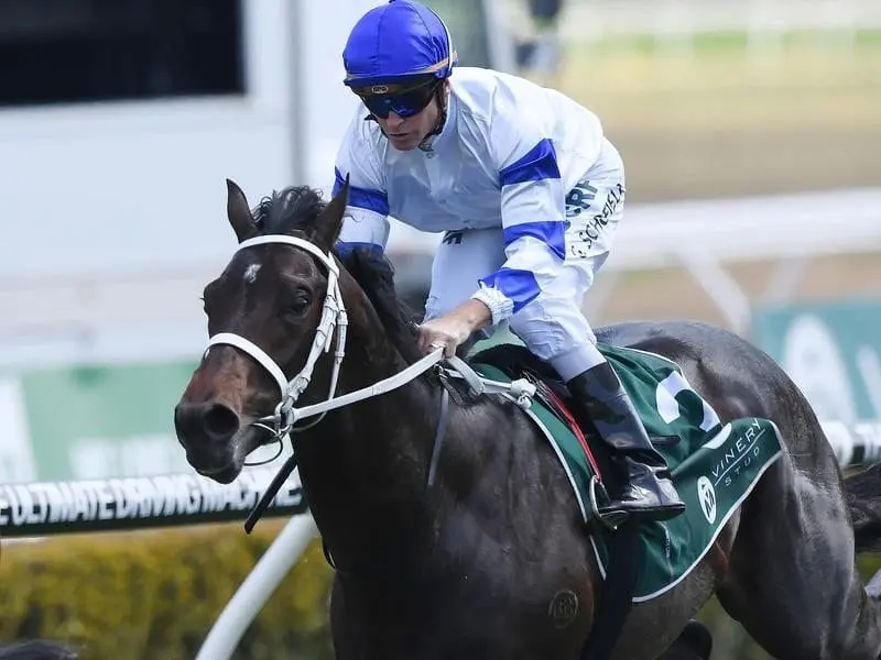 Kaonic underlines his potential with a strong win at Canterbury for jockey Glyn Schofield. Kaonic