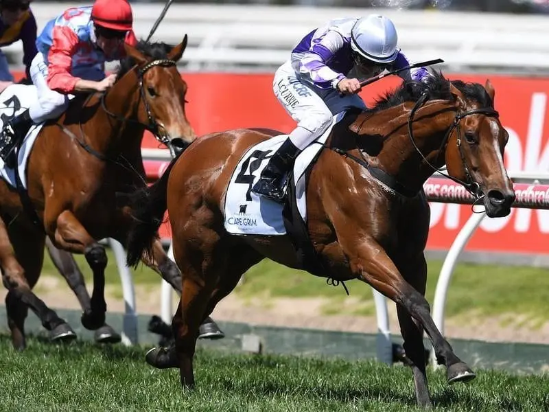 Cool Passion has won at Caulfield, notching her first stakes race victory. Luke Currie rides Cool Passion