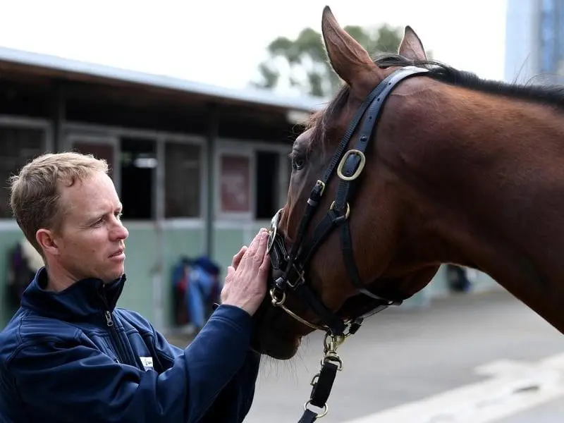 Kerrin McEvoy and his Caulfield Cup mount Bonneval who has been passed fit after days of drama. bonneval