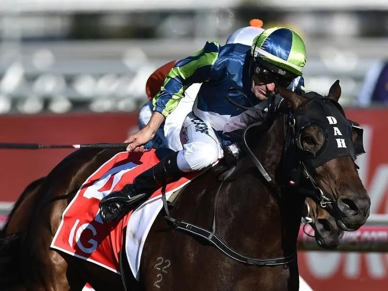 He's Our Rokkii will join Lindsay Park stablemates Humidor and Ventura Storm in the Caulfield Cup. lindsay park