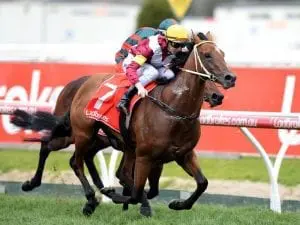 Perast wins Caulfield Guineas Prelude