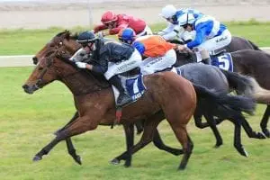 Consensus NZ mare Consensus