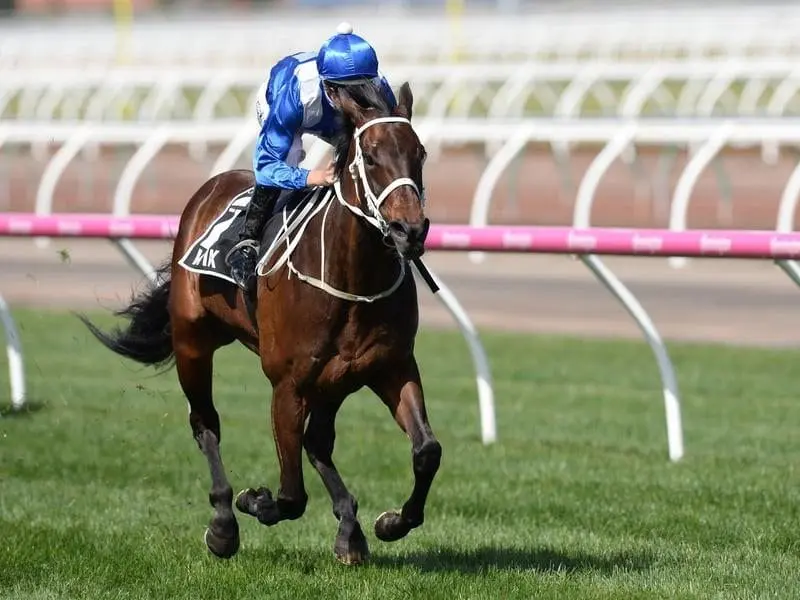 Winx is expected to face a small field as she aims for a third consecutive Cox Plate. winx