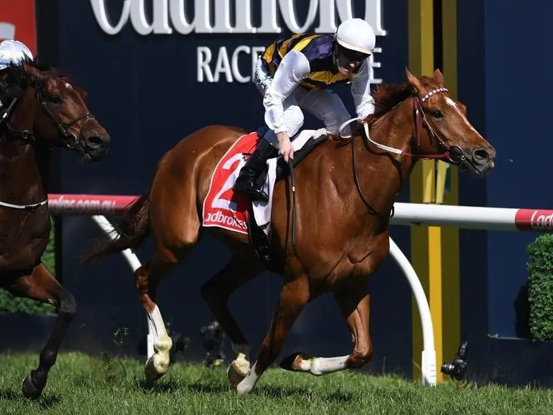 Gailo Chop, ridden by Mark Zahra, wins the Caulfield Stakes.