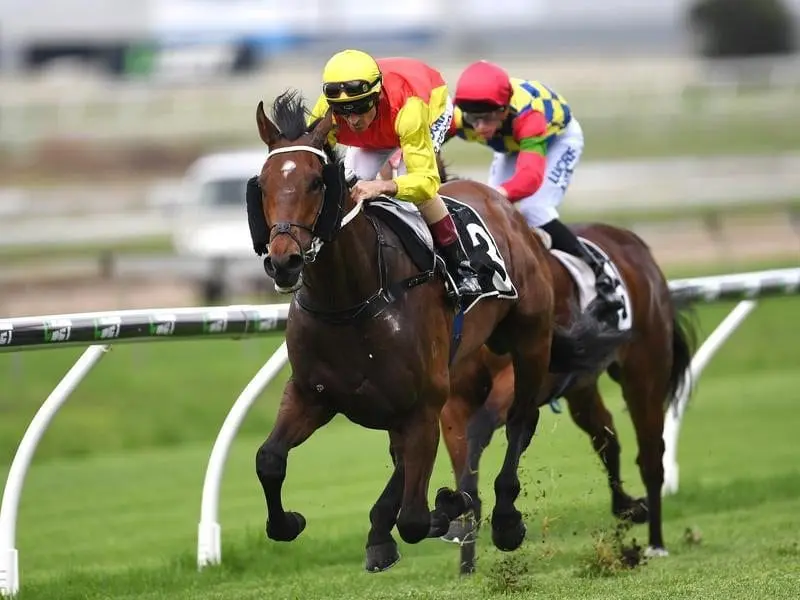 Shaolin Kungfu posts his first win in 14 starts after ploughing through wet ground at Doomben. Shaolin Kungfu