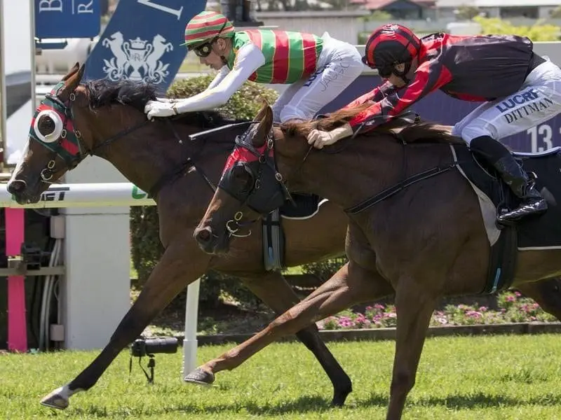 Rosa's Charm (inside) finishes strongly to beat stablemate Miracles Aplenty at Doomben. Rosa's Charm beats stablemate Miracles Aplemty at Doomben.