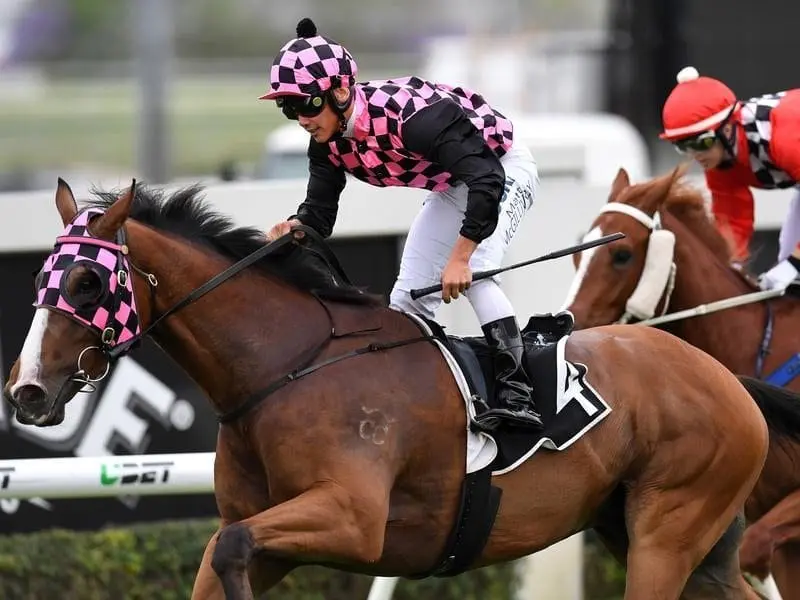 Zofonic Dancer has won the three-year-old handicap at Doomben, his third win in a row. Zofonic Dancer
