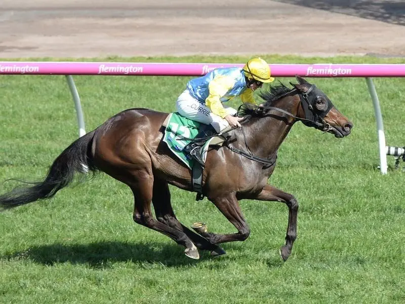 Bring Me Roses has been promoted to VRC Oaks favouritism after winning the Edward Manifold Stakes. Bring Me Roses