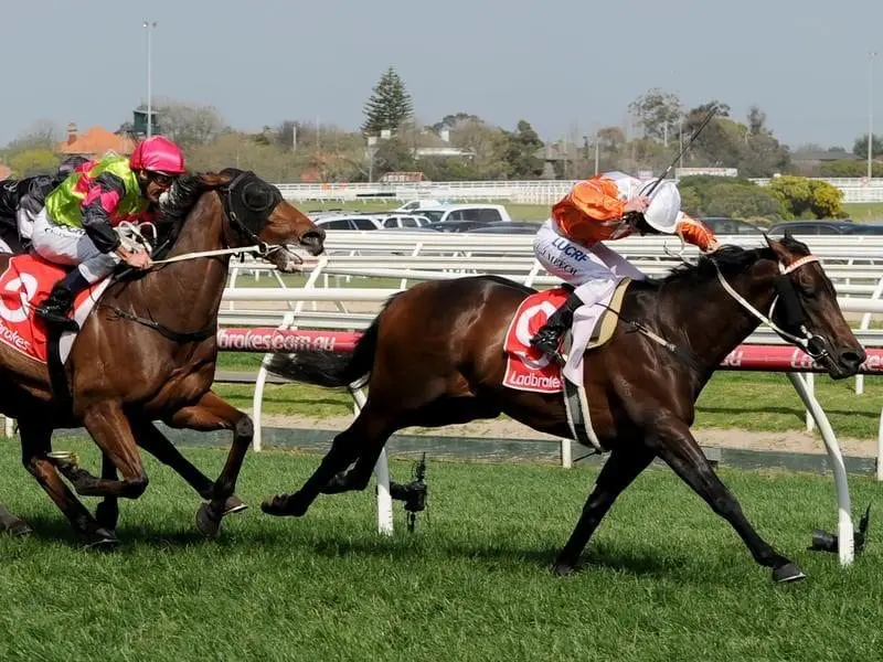 Sircconi can earn a Caulfield Guineas start if he races well at Listed level at Flemington. Sircconi