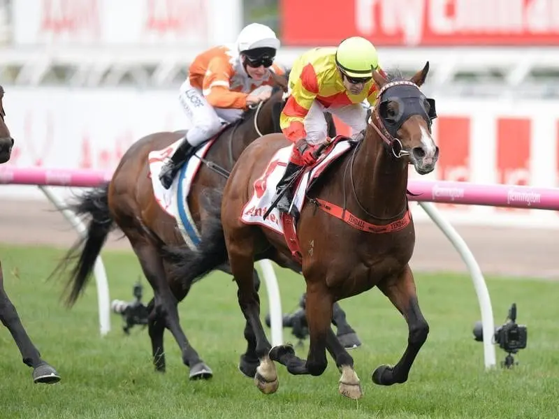 The Dean Yendall-ridden Snitzepeg wins a Listed race at Flemington on Turnbull Stakes day. Snitzepeg