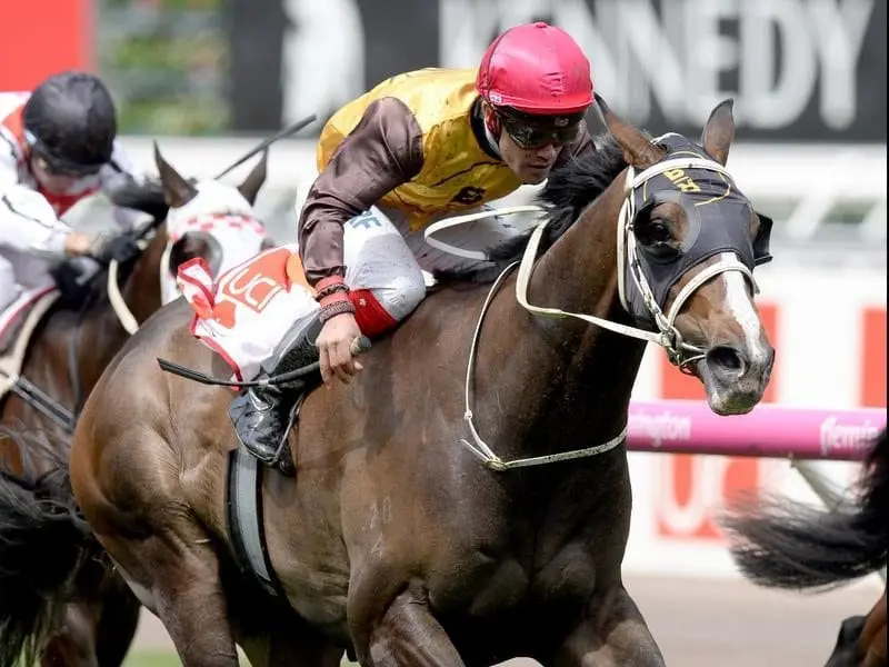 Main Stage emerges as a Victoria Derby after winning a lead-up race at Flemington. Main Stage