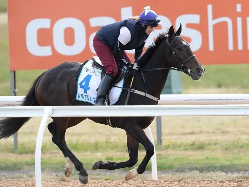 Glen Boss has been booked to ride Irish horse Riven Light in the Group One Caulfield Stakes. riven light