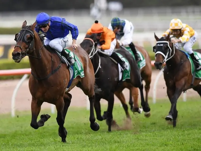 Epsom Hcp winner Happy Clapper will run in the Craven Plate with the Cox Plate still on his program. happy clapper