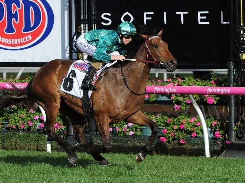 Trainer Darren Weir will have Japanese horse Admire Deus and Humidor (above) in the Caulfield Cup. Jockey Damian Lane riding Humidor