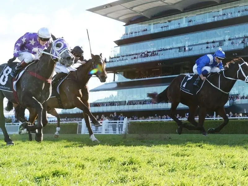 Chris Waller admits it took Foxplay (left) time to get over her Warwick Stakes 2nd to Winx (right.) foxplay