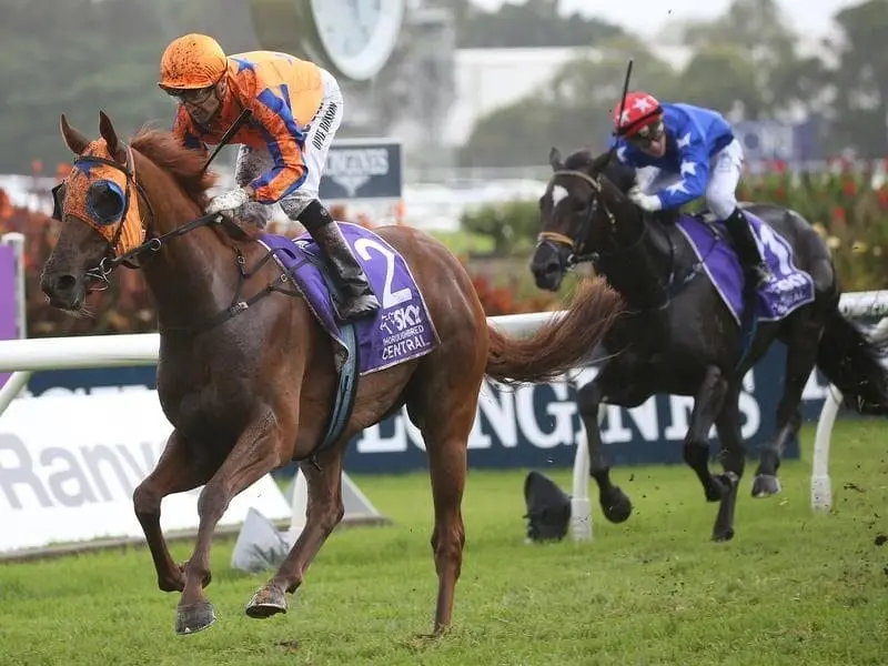 Rosehill Guineas winner Gingernuts will miss the Caulfield Cup after raininterrupted his schedule. gingernuts