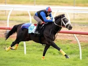 Kaspersky pleases in Werribee gallop
