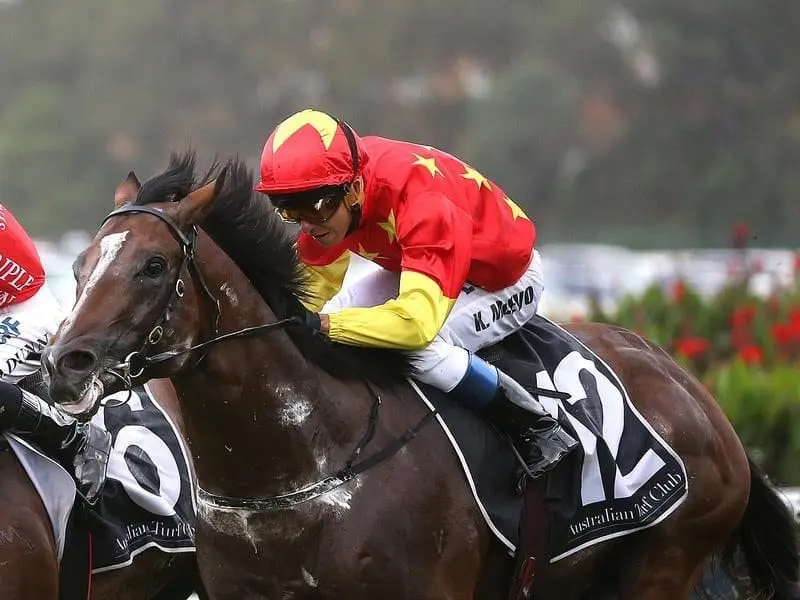 Russian Revolution's spring campaign is over after the entire's failure in the Moir Stakes. Russian Revolution
