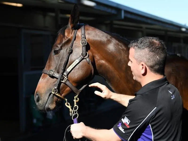 winx