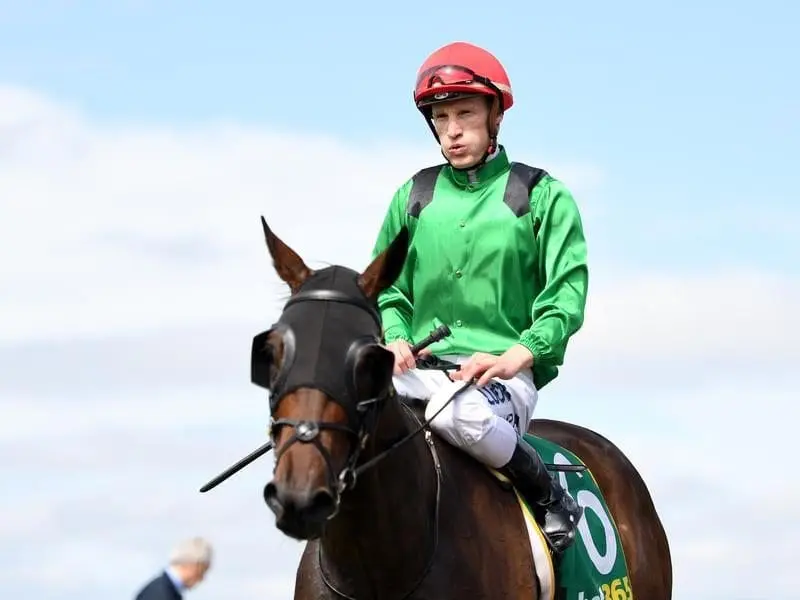 Weather With You has demonstrated his Victoria Derby prospects with a tough win at Geelong. weather with you