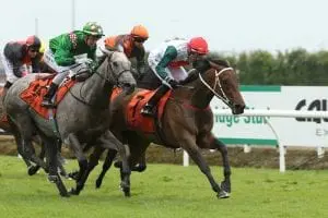 NZ Racing