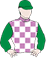 Prince Of Penzance silk