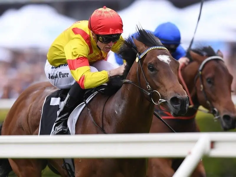 Two-year-old Legend Of Condor has made an impressive debut at Randwick. Legend of Condor ridden by Joshua Parr
