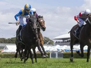 Goodfella's victory a slam dunk for Baker