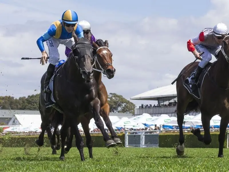 Goodfella (left) holds off Our Mantra to win a Randwick support race on Spring Champion Stakes day. Goodfella