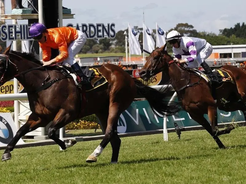 Takedown will run in the Sydney Stakes in preparation for a defence of the Winterbottom in Perth. takedown