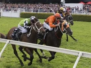 Ace High a popular Spring Champion winner