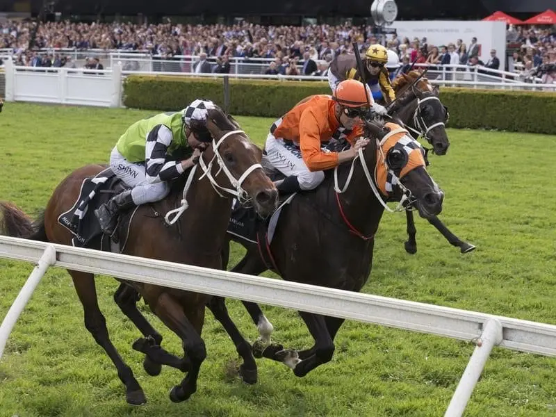Ace High (right) outstays Tangled to win the Group One Spring Champion Stakes at Randwick. Ace High