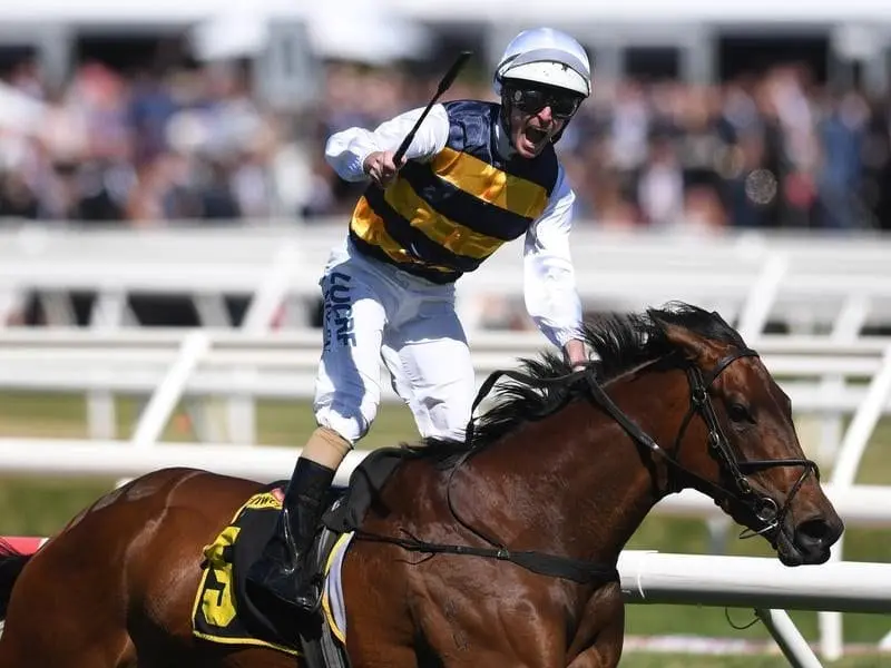 Aloisia has won the Thousand Guineas at Caulfield, trainer Aaron Purcell's first Group One victory. Luke Nolan reacts after riding Aloisia to victory