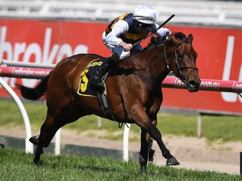 Thousand Guineas winner Aloisia continues her Oaks path in the Vase at Moonee Valley. aloisia