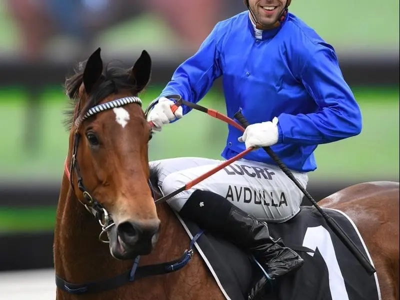 Jockey Brenton Avdulla on Savatiano, one of two maiden winners for Godolphin at Warwick Farm. wfarm wrap