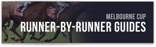 runner by runner guide melbourne cup