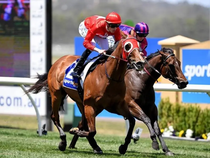 Darren Weir-trained Brugal Reward has beaten favourite Royal Fashion at Ballarat. Brugal Reward wins at Ballarat