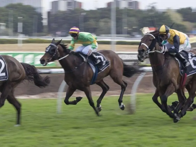 Antonio Giuseppe will be out to give trainer Chris Waller a second win in the Ballarat Cup. antonio