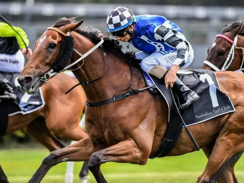 Doukhan has recorded back-to-back wins for the first time, with a midweek victory at Canterbury. Doukhan wins at Canterbury