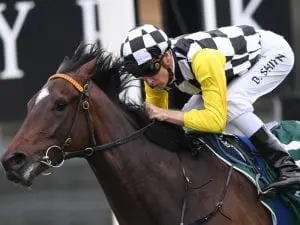 Sky Boy earns stripes for Melbourne trip