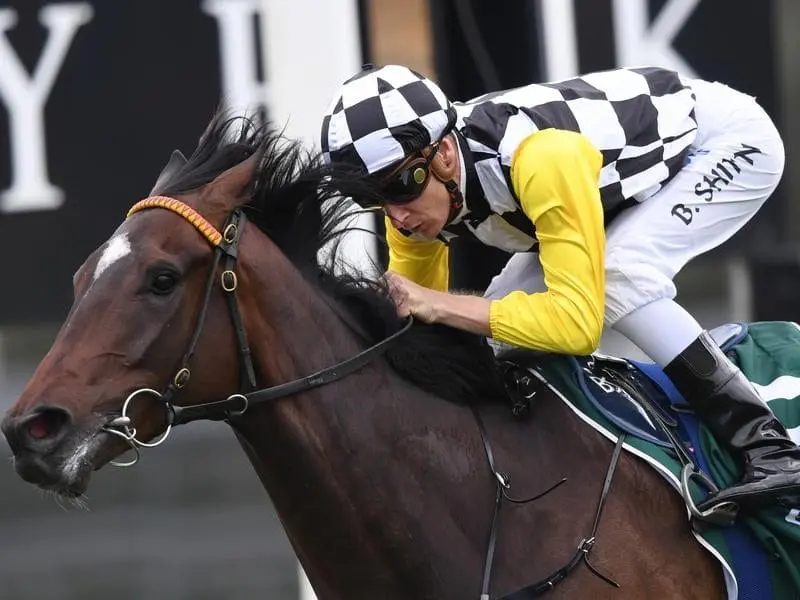 Sky Boy wins for in-form jockey Blake Shinn and trainers Anthony and Edward Cummings at Canterbury. Sky Boy wins at Canterbury.