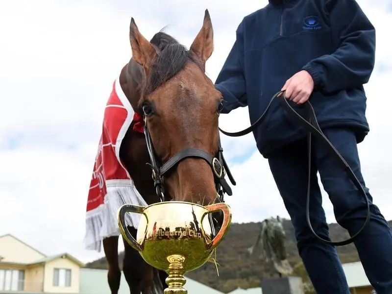 Co-owner Nick Williams says Almandin is primed to win his second Melbourne Cup. almandin