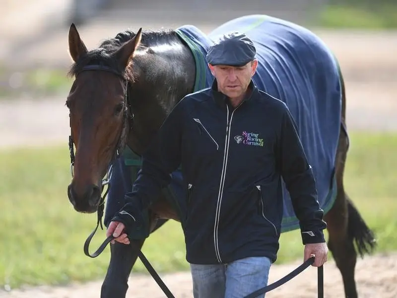 English stayer Marmelo continues to firm in Melbourne Cup betting. Melbourne Cup favourite Marmelo.