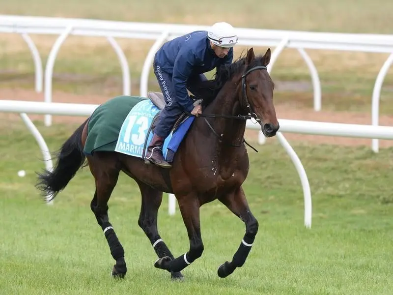 Race jockey Hugh Bowman has ridden Marmelo in trackwork ahead of the Melbourne Cup. bowman