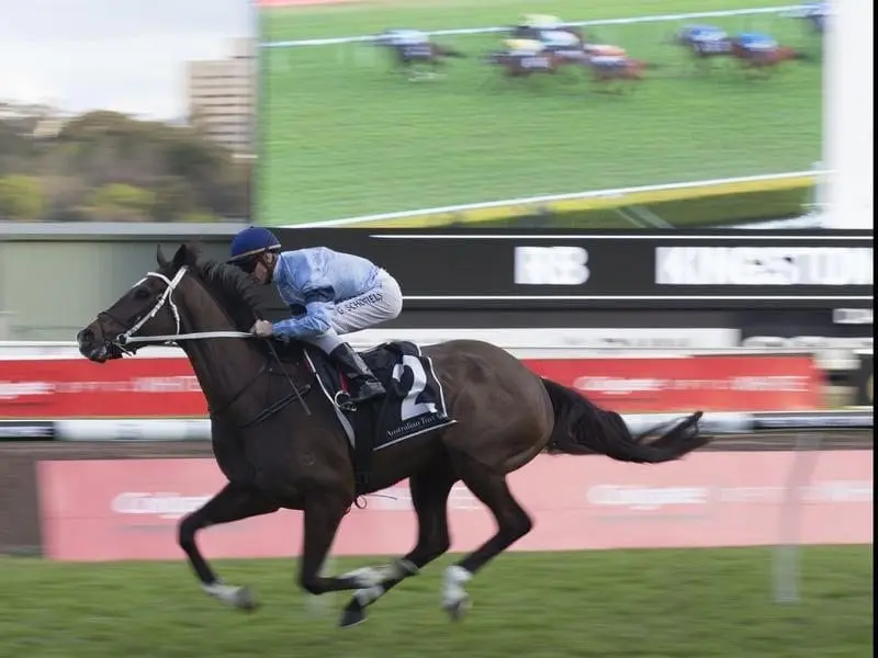 The Chris Waller-trained Libran will run in the Melbourne Cup for Harry Herbert's Highclere Racing. libran